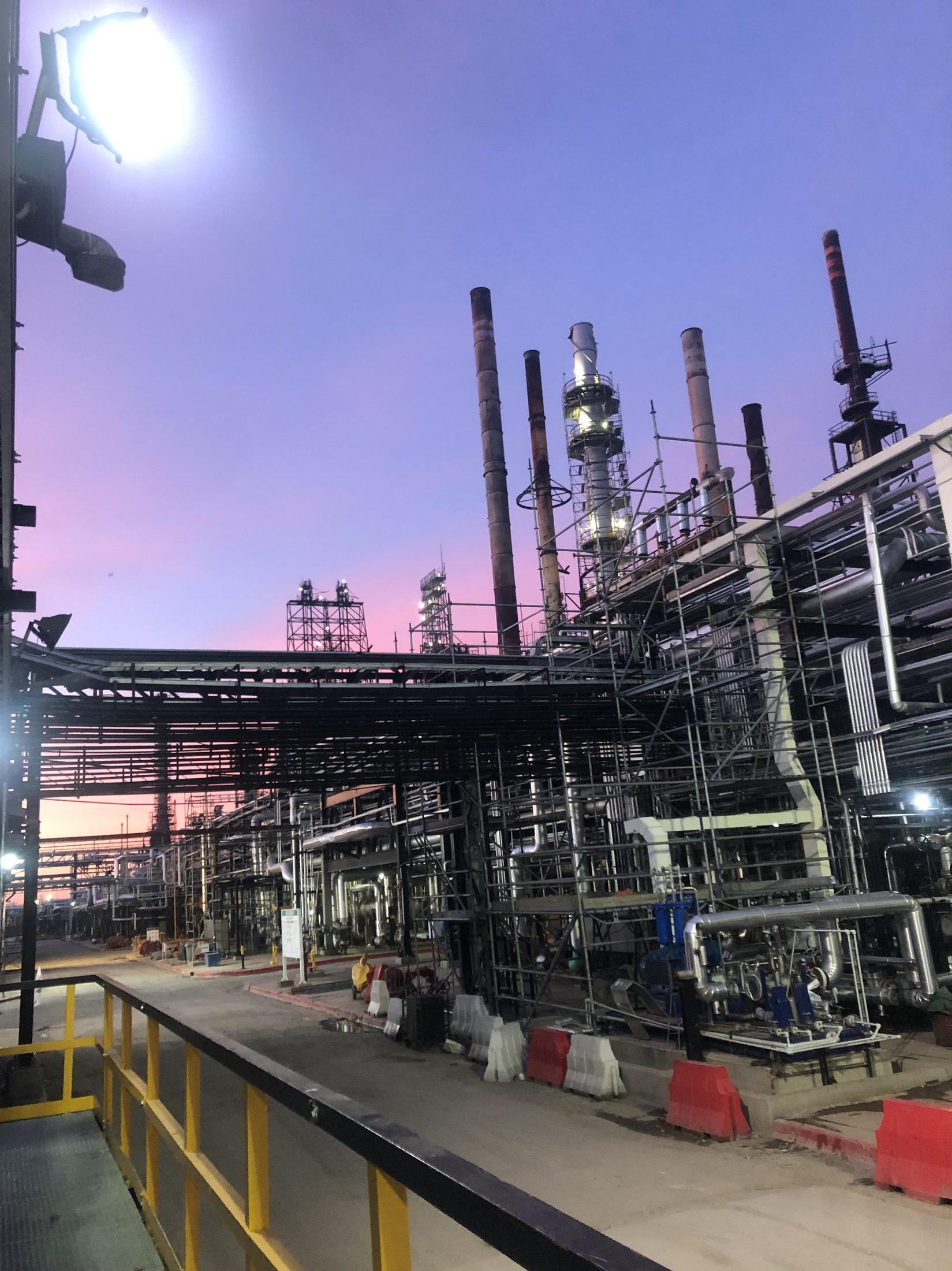 Planta al atardecer